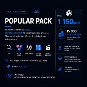 WebSteve Monthly Contract — 12 months