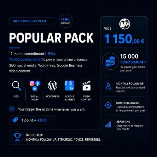 WebSteve Monthly Contract — 12 months