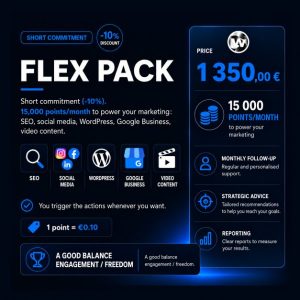 WebSteve Monthly Contract — 6 months